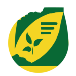 Siloso konservantai